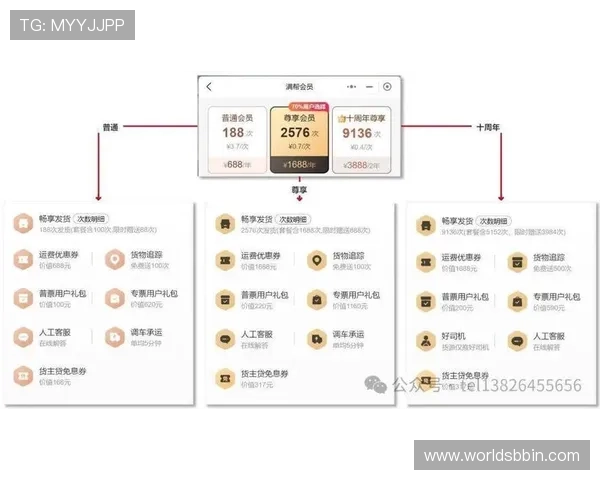 BBIN会员独享的VIP特权与尊享服务详解