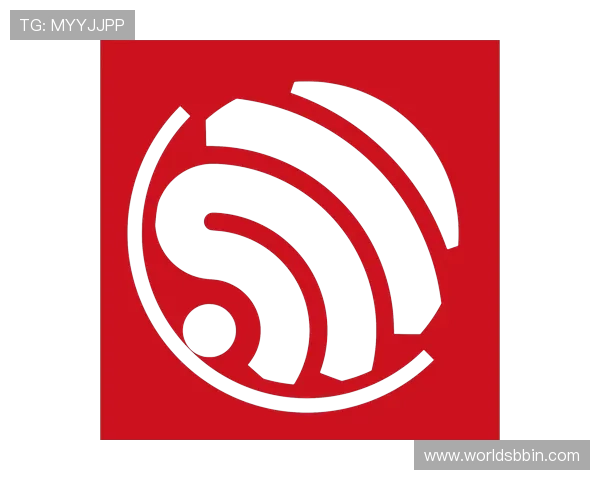 BBIN网站app账号登录与安全设置指南，确保您的账户信息安全无忧