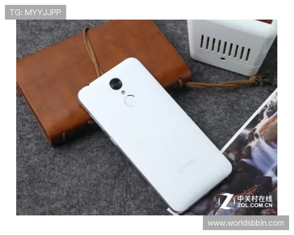 如何安全稳定进行BBIN手机登录保障个人信息安全的实用技巧